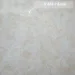 Feidal   Veneciano 1  