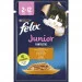Felix     Fantastic Junior     26x85 (7613039832196)