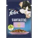 Felix     Fantastic        26x85 (7613039841624)