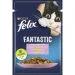   Felix     Fantastic        26 . 85 