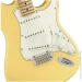  Fender Player Stratocaster MN BCR
