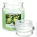 Feroma Candle     Green Lemon