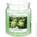 Feroma Candle     Green Lemon