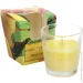 Feroma Candle     Mango Fruit