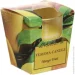 Feroma Candle     Mango Fruit