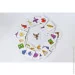 FGS (Fun Games Shop)   " " FGS43   