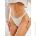 Ƴ  Fineto Ƴ      ͳ (737-48)  XL