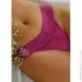 Ƴ  Fineto Ƴ     Summer Breeze (1323-48)  XL