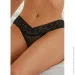   Fineto      Summer Breeze (1324-48)  XL