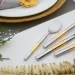 Fiora    Golden bamboo 24 