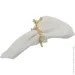  Fiora ʳ   Golden Bird YQU9137-1