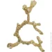  Fiora ʳ   Golden Bird YQU9137-1