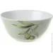  Fiora Olive 12  300 