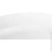  Fiora Ray 26x18  (BA3084-2)