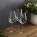 Келих Fiora Sarah 350 мл Келих Fiora Sarah 350 мл