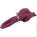  Fiora    Silver Bird YQU9137-2
