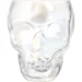  Fiora Skull 100  (ST09682-CL)