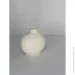 Fire Rabbit  -  ,  
