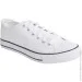 Firefly  Canvas V 423150-001 .38 