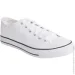 Firefly  Canvas V 423150-001 .41 