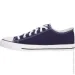 Firefly  Canvas V 423150-506 .43 