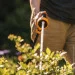    Fiskars 1020446