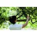  Fiskars (S) L70 (1002104)