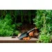   ( ) Fiskars 137000