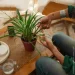   Fiskars     Plant Care (1075315)