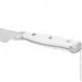   Fissman   BONN 13  (X50CrMoV15 ) (2731)
