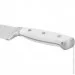   Fissman   BONN 15  (X50CrMoV15 ) (2728)