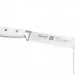   Fissman   BONN 20  (X50CrMoV15 ) (2732)