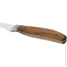   Fissman   FABIUS 20  (X50CrMoV15 ) (12074)