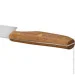   Fissman ͳ  FEDERICO 20  (X30Cr13 ) (12067)