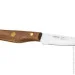  Fissman   FEDERICO 9  (X30Cr13 ) (12072)