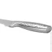   Fissman Գ  FIRMIN 20  (X30Cr13 ) (12063)