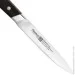   Fissman Frankfurt  130  (2764)