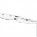   Fissman   LINZ 9  (X50CrMoV15 ) (2772)