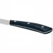  Fissman   MAINZ 13  (X30Cr13 ) (2741)