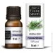 г   Flora Secret    10 