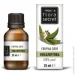    Flora Secret    25 
