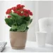 Form-Plastic    -11  0,8   (0740-002)