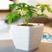  Form-Plastic     -11  0,8 