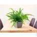  Form-Plastic     -11  0,8 