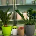 Form-Plastic    -13  1,6   (0741-059)