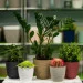  Form-Plastic    -13  1  
