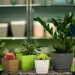 Form-Plastic    -15  2,5  (0732-002)