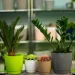 Form-Plastic    -17  3  (0743-002)