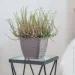  Form-Plastic     -17  3 