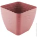  Form-Plastic     -17  3 